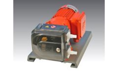 Close-Coupled Industrial Pump with 520RELC LoadSure Element Pumphead
