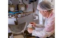 Food Manufacturing Pest Management