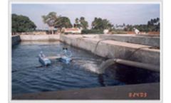 Activated Sludge Process – Advanced Bio-Engineering for Sewage Treatment Plants