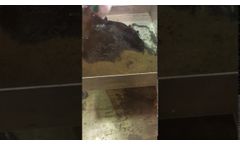 Peat Sorb with Sand - Video