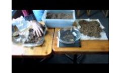 Peat Sorb Efficiency Demonstration - Video