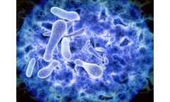 Managing the Risk of Legionella in Emergency Safety Showers and Eye Washes