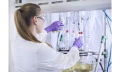 BioDiesel production as a safe disposal route for high-risk fats