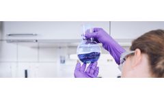 BDI - Research Activities