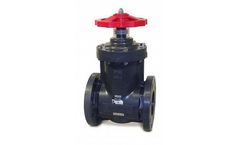 FRANK - Gate Valves
