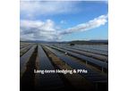 Axpo - Long-Term Hedging & PPAs Services