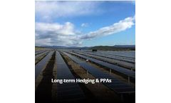 Axpo - Long-Term Hedging & PPAs Services