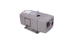 Model D (1-10 HP) - Dry Running Rotary Vane Vacuum Pumps