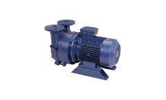 Model SM (3-10 HP) - Single Stage Liquid Ring Vacuum Pumps