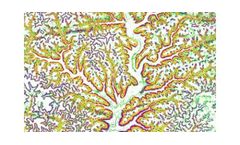 Geomorphology
