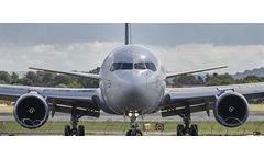 Airport Bird Control