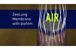 SUEZ ZeeLung Membrane Aerated Biofilm Reactor for Wastewater - Video