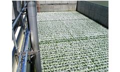 Nexom EDI - Fine Bubble Aeration Systems