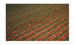 Water desalination for agricultural purposes