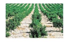Irrigation solutions for Citrics Crops