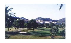 Water filtration systems for golf courses field
