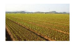 Water filtration systems for sub-surface drip irrigation