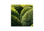 AZUD GREENTEC - Professional System for Gardening