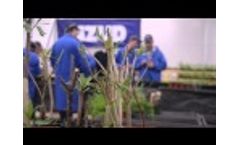 Iter, Semilla Solidaria - Video