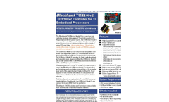 Blackhawk - USB100v2 JTAG Emulator Brochure