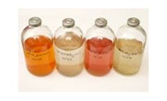 Metals and Inorganic Contaminants