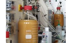 Pattern Preparation of Microbial Biomass