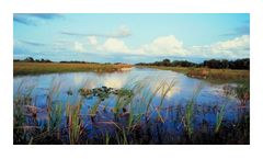 Natural Resources Services