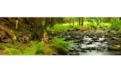 Environmental Impact Assessment