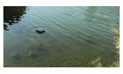 Algae control in ponds