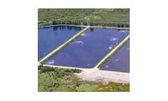 Algae control in wastewater lagoons