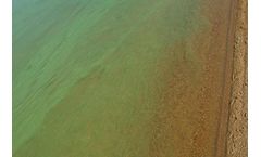 Algae Season in Australasia