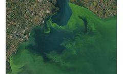 UN Report: Algal blooms to become more severe