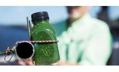 Algae toxins linked to brain diseases found in Florida