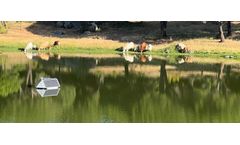 LG Sonic to improve Spain’s drinking water quality