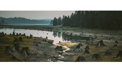 The impact of climate change on water quality