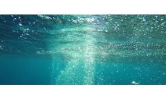 Dissolved Oxygen and Water Quality