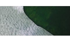 Chilling Discovery: Cold Weather Algae Blooms Uncovered
