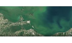How climate change fuels algae blooms in the 21st century