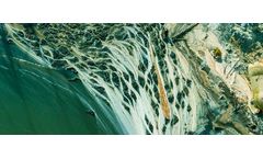 The harmful link between microplastics and algae blooms in the Great Lakes