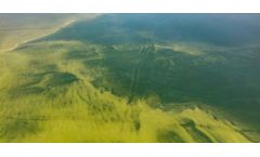 Understanding the shifts in Lake Erie’s algae toxins