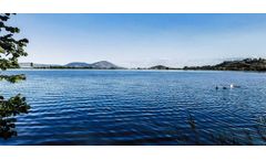 How scientists are using smells to find algal toxins in lakes