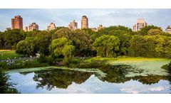 Understanding and measuring eutrophication in lakes and water bodies