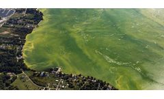 Algae blooms in Lake Erie: surprising severity raises concerns