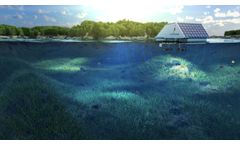 Celebrating World Environment Day: LG Sonic Champions Eco-Friendly Water Treatment
