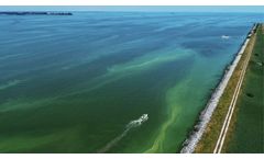 A Decade of Struggle: Newly Identified Causes of Severe Toxic Algal Blooms in Lake Erie