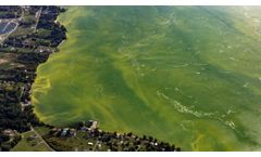New Solutions for Critical Algal Bloom Issues in Lough Neagh