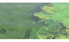 A Holistic Approach to Addressing Surface Water Pollution