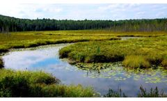 Nature-Based Solutions as an Innovative Way to Improve Surface Water Quality