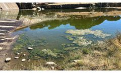 Mechanisms and assessment of water eutrophication