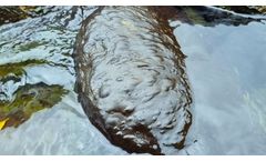 4 Rivers Reveal Cyanobacteria Mats in New Zealand